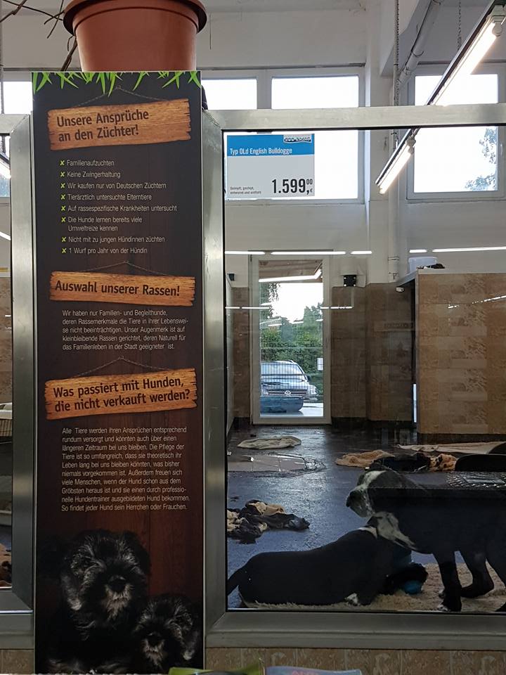 Biggest pet shop in the world